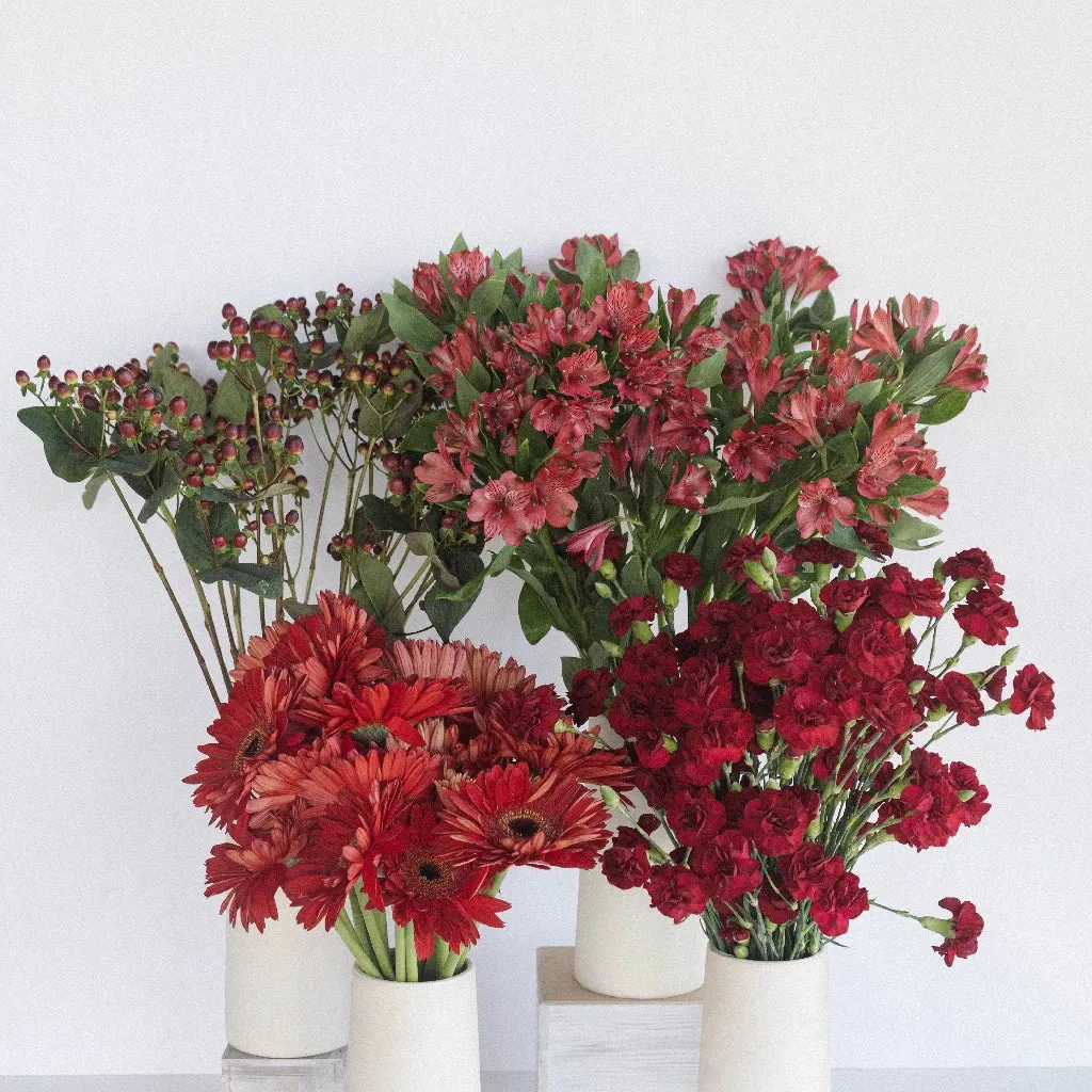 Crimson Fire DIY Flower Kit