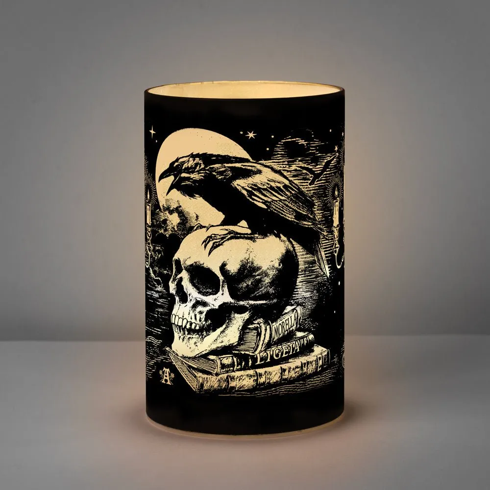 Edgar Allan Poe 'Nevermore' Raven LED Light