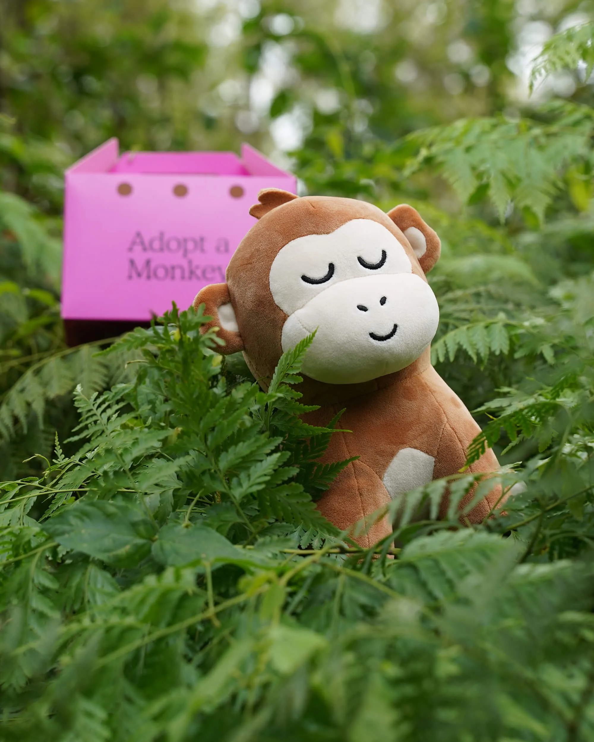 Monkey Plushie