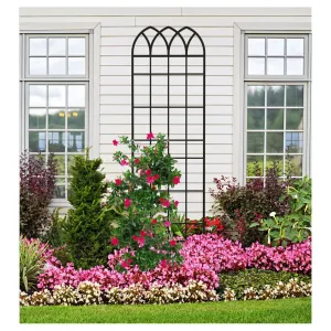 Panacea Gothic Trellis