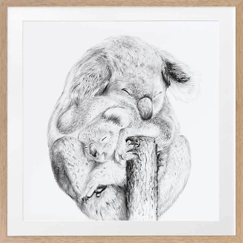 Snuggly Koalas Framed Art Print