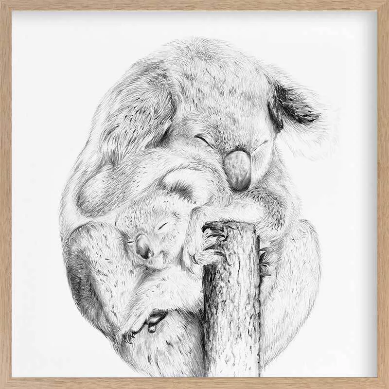 Snuggly Koalas Framed Art Print