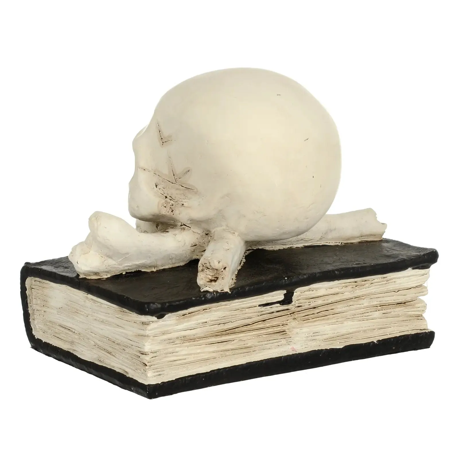 Tales of Enchantment Skull Book Halloween Party Decoration 17cm