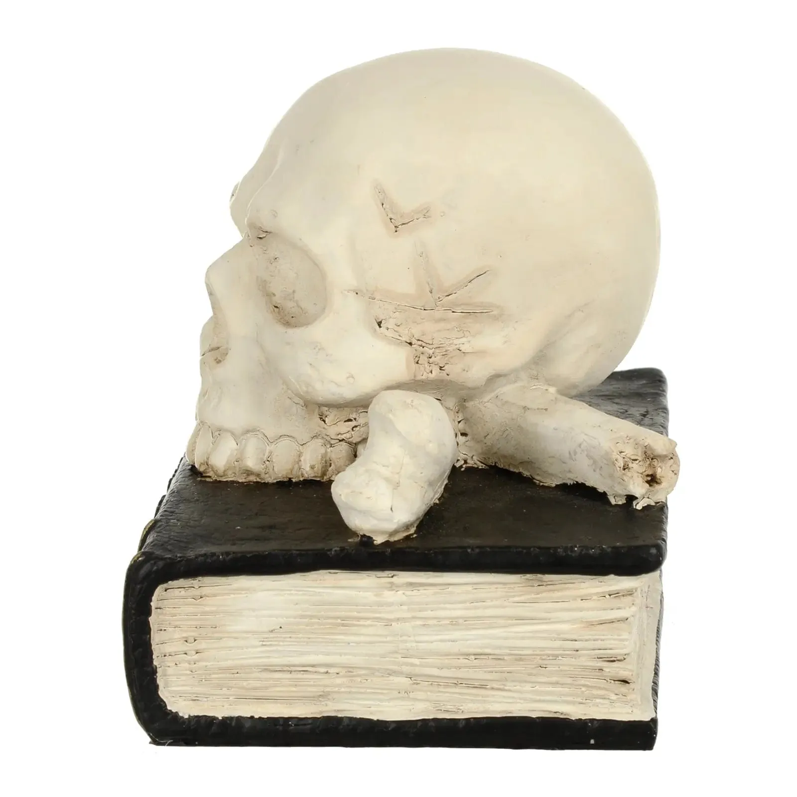 Tales of Enchantment Skull Book Halloween Party Decoration 17cm