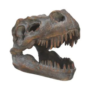 Tyrannosaurus Rex Skull Freestanding 16cm